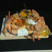 ヒメ日記 2026/02/19 06:28 投稿 ひかり G-1八戸