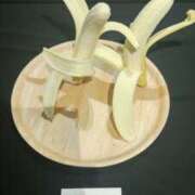 ヒメ日記 2026/02/19 10:01 投稿 ひかり G-1八戸