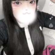 ヒメ日記 2024/12/22 12:43 投稿 メンダコ　面蛸 女の子市場