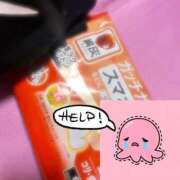 メンダコ　面蛸 🈵たくさんありがとう、と…。 女の子市場