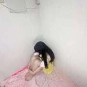 メンダコ　面蛸 悔しい。 女の子市場