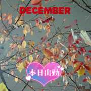 ヒメ日記 2024/12/13 21:24 投稿 綾木りあ ワイフコレクション