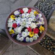 ヒメ日記 2024/12/22 22:05 投稿 かこ 熟女の風俗最終章 本厚木店