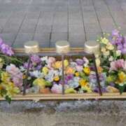 ヒメ日記 2025/01/23 10:30 投稿 かこ 熟女の風俗最終章 本厚木店