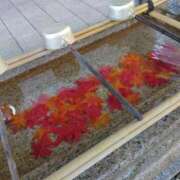 ヒメ日記 2025/01/23 18:03 投稿 かこ 熟女の風俗最終章 本厚木店