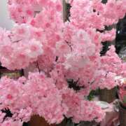 ヒメ日記 2025/02/17 13:50 投稿 かこ 熟女の風俗最終章 本厚木店