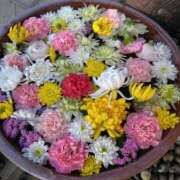 ヒメ日記 2025/03/18 10:57 投稿 かこ 熟女の風俗最終章 本厚木店