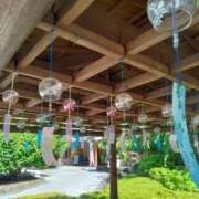 かこ 日曜日 熟女の風俗最終章 本厚木店