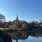 ヒメ日記 2024/12/12 14:47 投稿 そら しろうと娘　本店