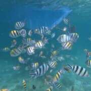 ヒメ日記 2025/02/24 08:13 投稿 そら しろうと娘　本店