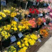 ヒメ日記 2025/05/23 08:43 投稿 そら しろうと娘　本店