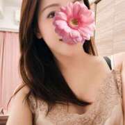 ヒメ日記 2026/04/28 10:47 投稿 二条きょうこ 美魔女エステ