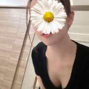 ヒメ日記 2025/05/29 15:21 投稿 二条きょうこ ワイフコレクション