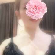 ヒメ日記 2025/10/31 12:05 投稿 二条きょうこ ワイフコレクション