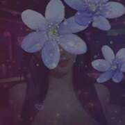 ヒメ日記 2026/01/29 19:50 投稿 池上つかさ 月の真珠-五反田-