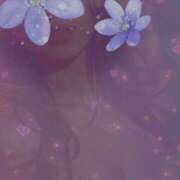 ヒメ日記 2026/04/13 18:19 投稿 池上つかさ 月の真珠-五反田-