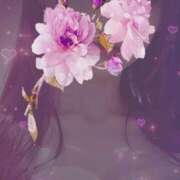 ヒメ日記 2026/04/14 07:00 投稿 池上つかさ 月の真珠-五反田-