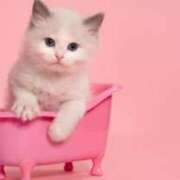 ヒメ日記 2025/06/13 07:22 投稿 いちか アイドルチェッキーナ本店