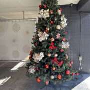 ヒメ日記 2024/12/14 16:22 投稿 島田　彩 エンジェルコースト