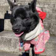 ヒメ日記 2025/01/02 13:01 投稿 島田　彩 エンジェルコースト