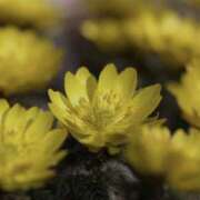 ヒメ日記 2025/01/02 16:15 投稿 島田　彩 エンジェルコースト