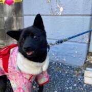 ヒメ日記 2025/01/03 17:02 投稿 島田　彩 エンジェルコースト