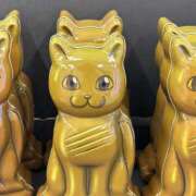 ヒメ日記 2025/01/05 11:06 投稿 島田　彩 エンジェルコースト