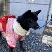 ヒメ日記 2025/01/07 14:43 投稿 島田　彩 エンジェルコースト