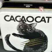 ヒメ日記 2025/01/08 13:55 投稿 島田　彩 エンジェルコースト