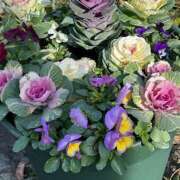 ヒメ日記 2025/01/21 08:29 投稿 島田　彩 エンジェルコースト