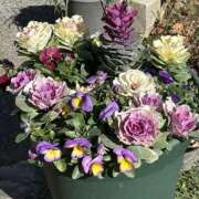 ヒメ日記 2025/02/23 18:58 投稿 島田　彩 エンジェルコースト