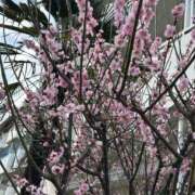 ヒメ日記 2025/03/02 23:14 投稿 島田　彩 エンジェルコースト