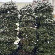 ヒメ日記 2025/03/03 14:01 投稿 島田　彩 エンジェルコースト