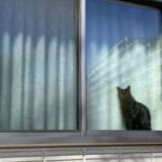 ヒメ日記 2025/03/07 19:06 投稿 島田　彩 エンジェルコースト