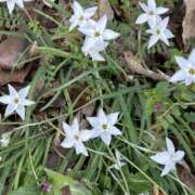 ヒメ日記 2025/04/06 01:50 投稿 島田　彩 エンジェルコースト