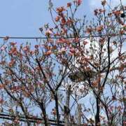 ヒメ日記 2025/04/12 17:56 投稿 島田　彩 エンジェルコースト