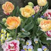 ヒメ日記 2025/04/15 10:53 投稿 島田　彩 エンジェルコースト