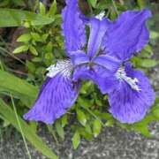 ヒメ日記 2025/04/26 09:41 投稿 島田　彩 エンジェルコースト