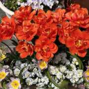 ヒメ日記 2025/05/03 13:35 投稿 島田　彩 エンジェルコースト