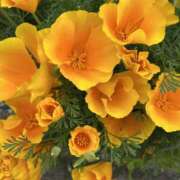 ヒメ日記 2025/05/07 23:35 投稿 島田　彩 エンジェルコースト