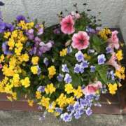 ヒメ日記 2025/05/17 12:12 投稿 島田　彩 エンジェルコースト