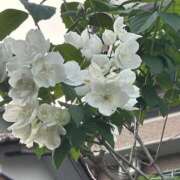 ヒメ日記 2025/05/27 20:31 投稿 島田　彩 エンジェルコースト