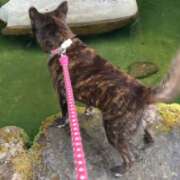 ヒメ日記 2025/06/02 16:11 投稿 島田 彩 エンジェルコースト