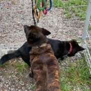 ヒメ日記 2025/06/03 12:48 投稿 島田 彩 エンジェルコースト