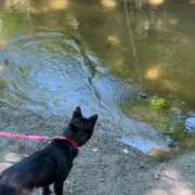 ヒメ日記 2025/06/03 13:46 投稿 島田 彩 エンジェルコースト