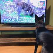 ヒメ日記 2025/06/06 18:51 投稿 島田 彩 エンジェルコースト