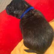 ヒメ日記 2025/06/07 12:31 投稿 島田　彩 エンジェルコースト