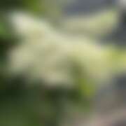 ヒメ日記 2025/06/10 10:28 投稿 島田　彩 エンジェルコースト