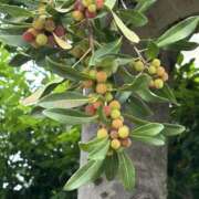 ヒメ日記 2025/06/14 08:13 投稿 島田　彩 エンジェルコースト