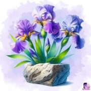 ヒメ日記 2025/06/14 20:04 投稿 島田　彩 エンジェルコースト